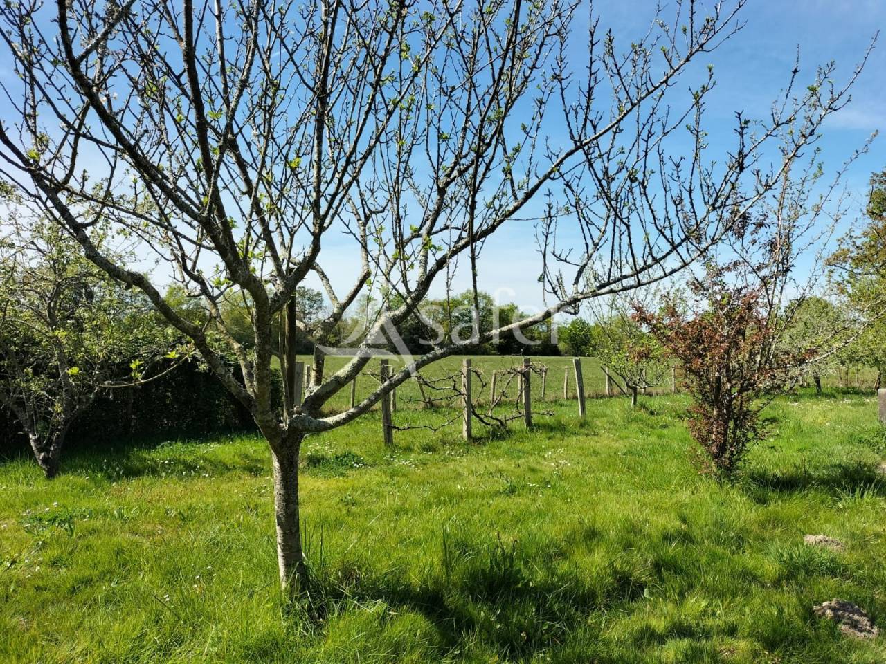 Azienda agricola In vendita Vend&eacute;e