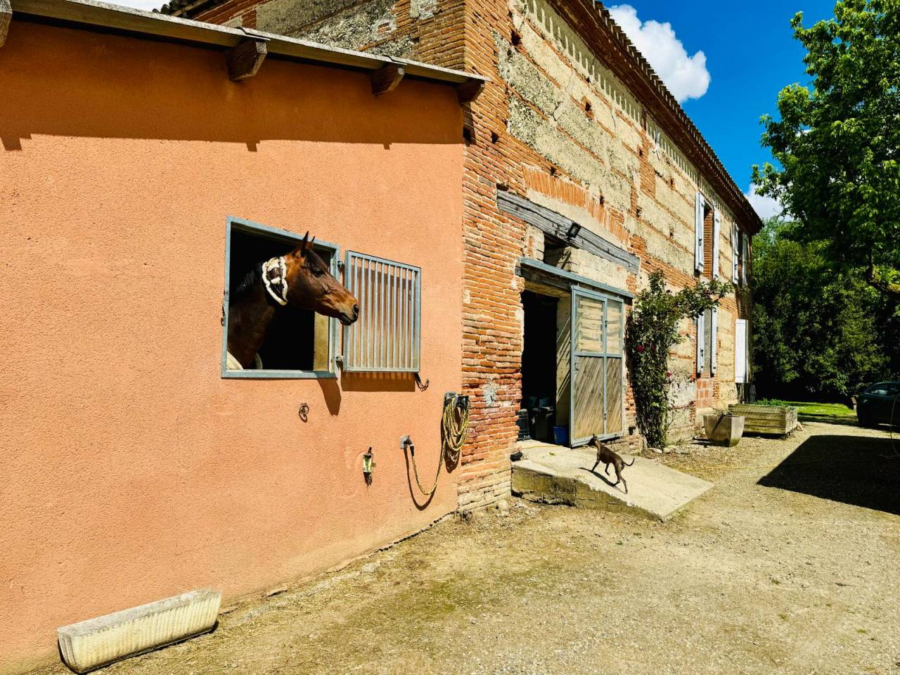 Propriet&agrave; equestre In vendita Tarn-et-Garonne