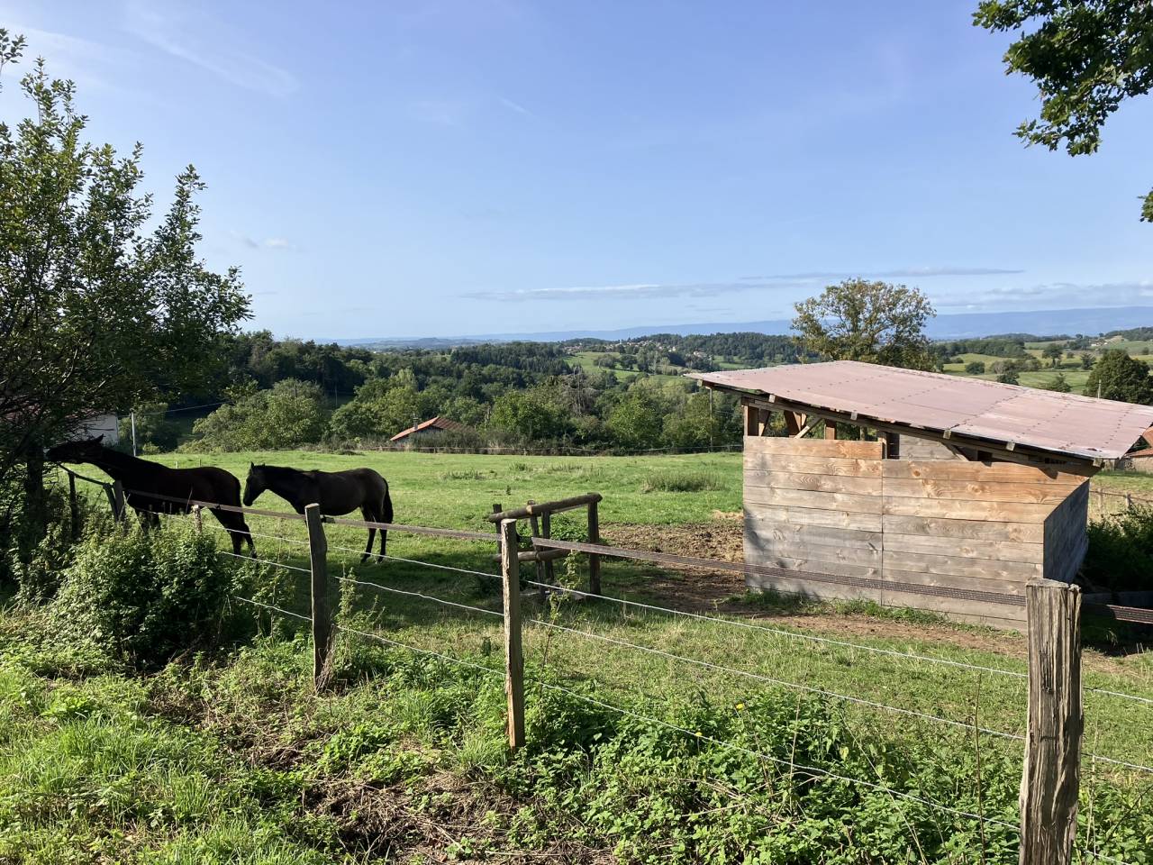Azienda equestre In vendita Rh&ocirc;ne