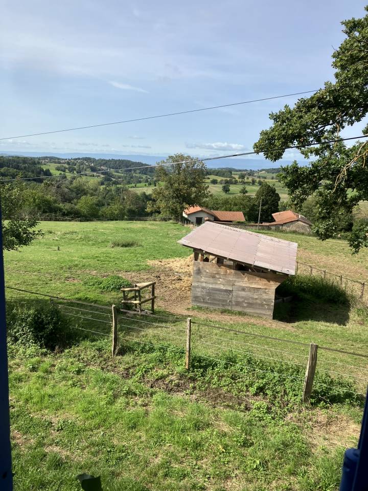 Azienda equestre In vendita Rh&ocirc;ne