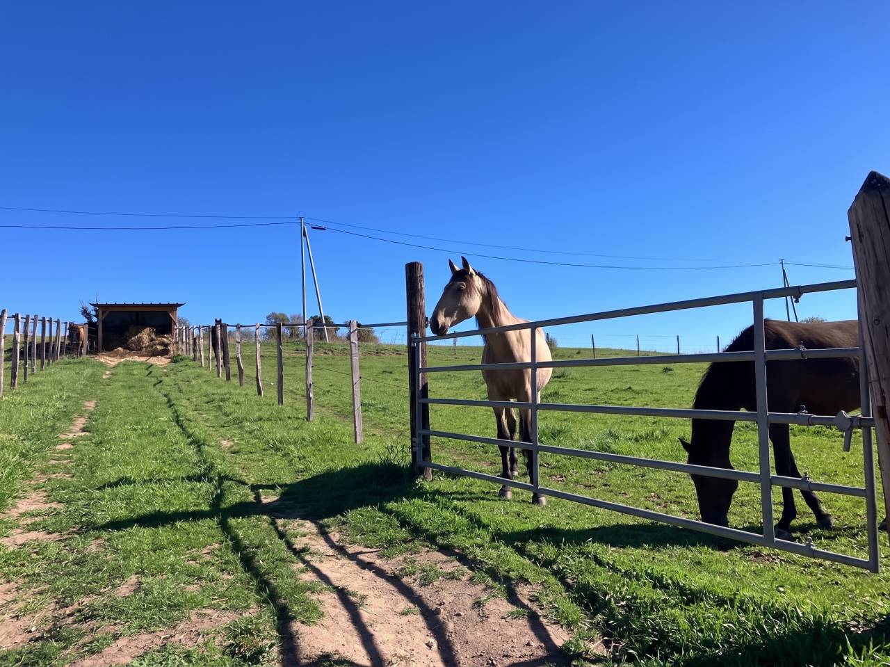 Propriet&agrave; equestre In vendita Rh&ocirc;ne