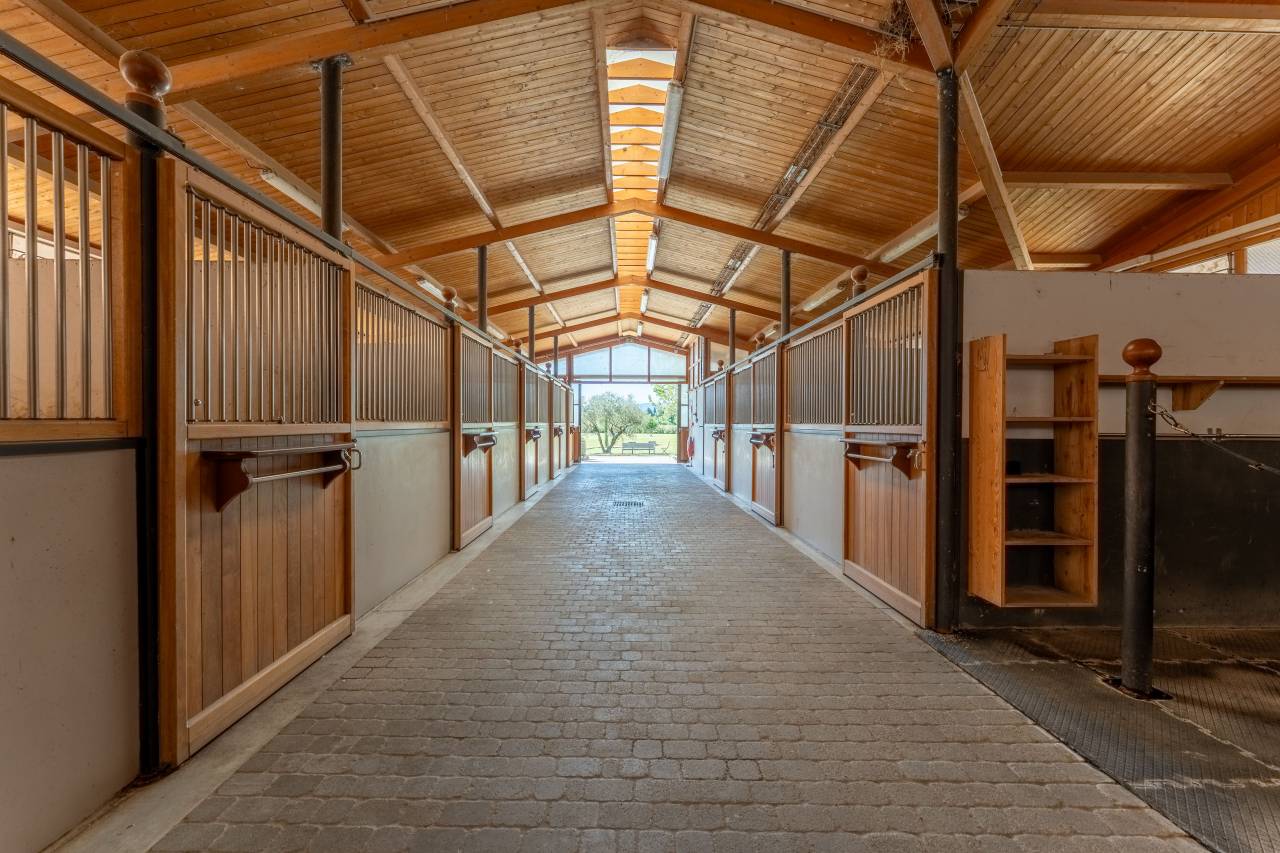 Bella dimora equestre In vendita Vaucluse