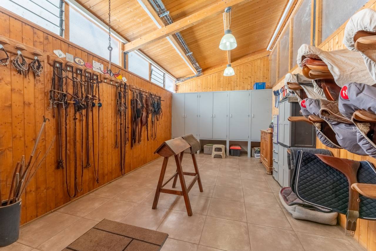 Bella dimora equestre In vendita Vaucluse