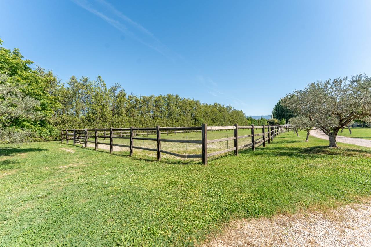 Bella dimora equestre In vendita Vaucluse