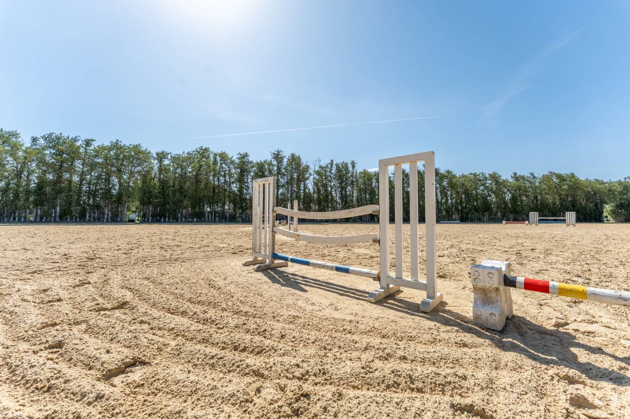 Bella dimora equestre In vendita Vaucluse