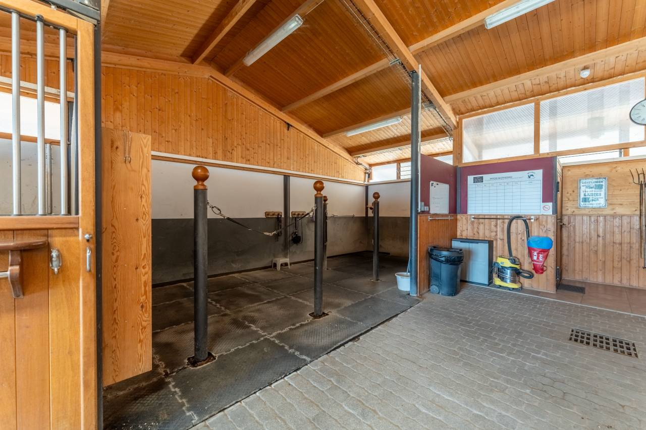 Bella dimora equestre In vendita Vaucluse
