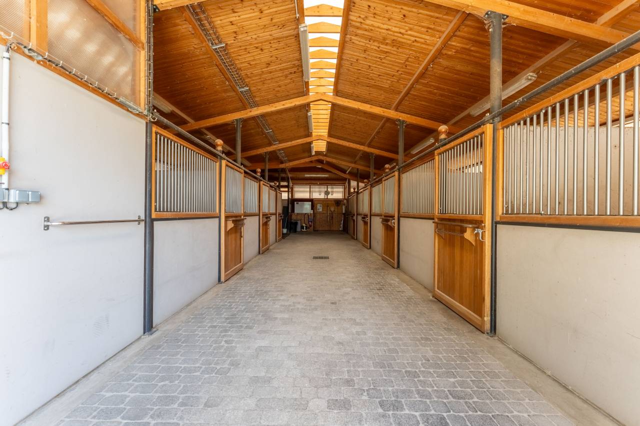 Bella dimora equestre In vendita Vaucluse