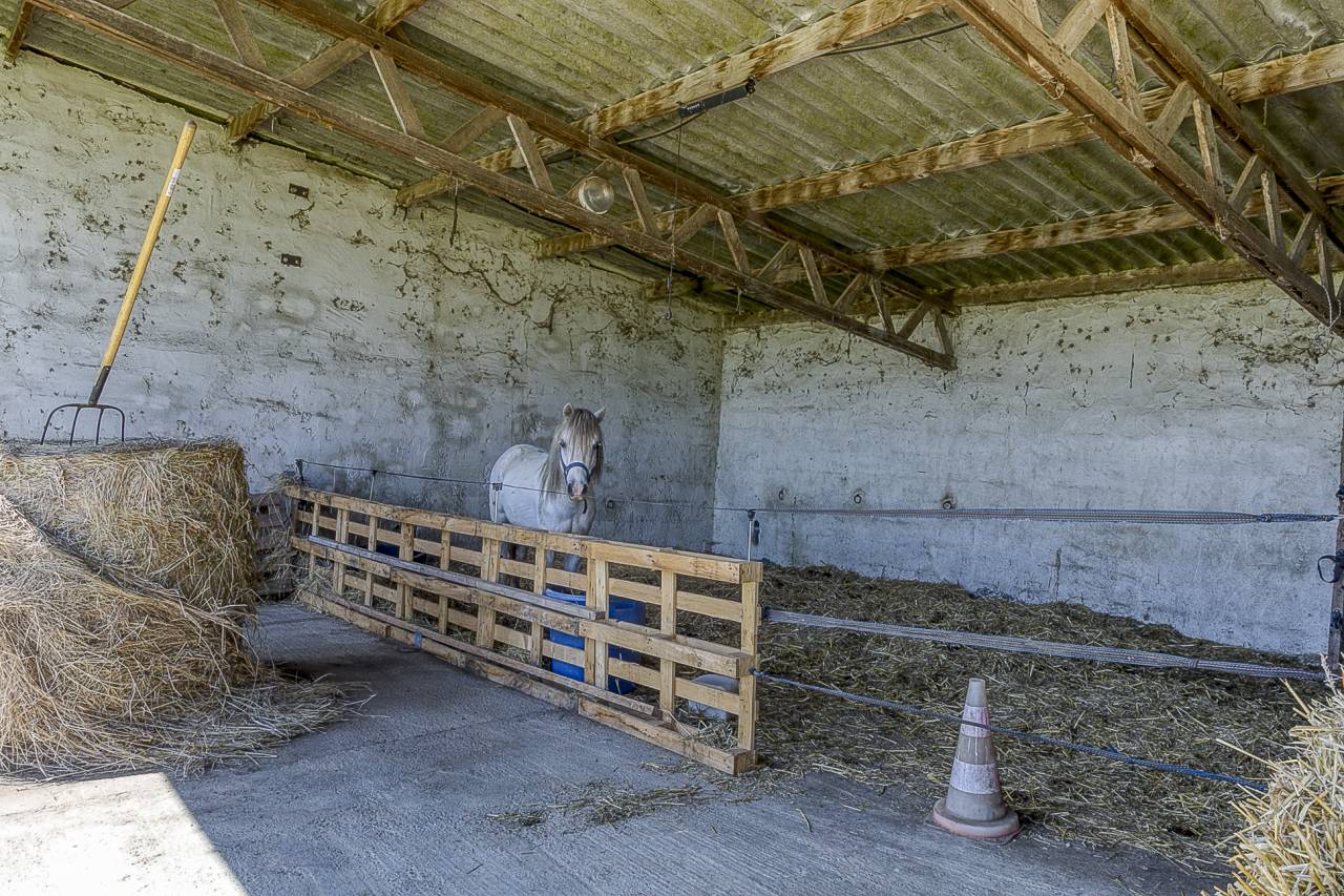 Propriet&agrave; equestre In vendita Gers