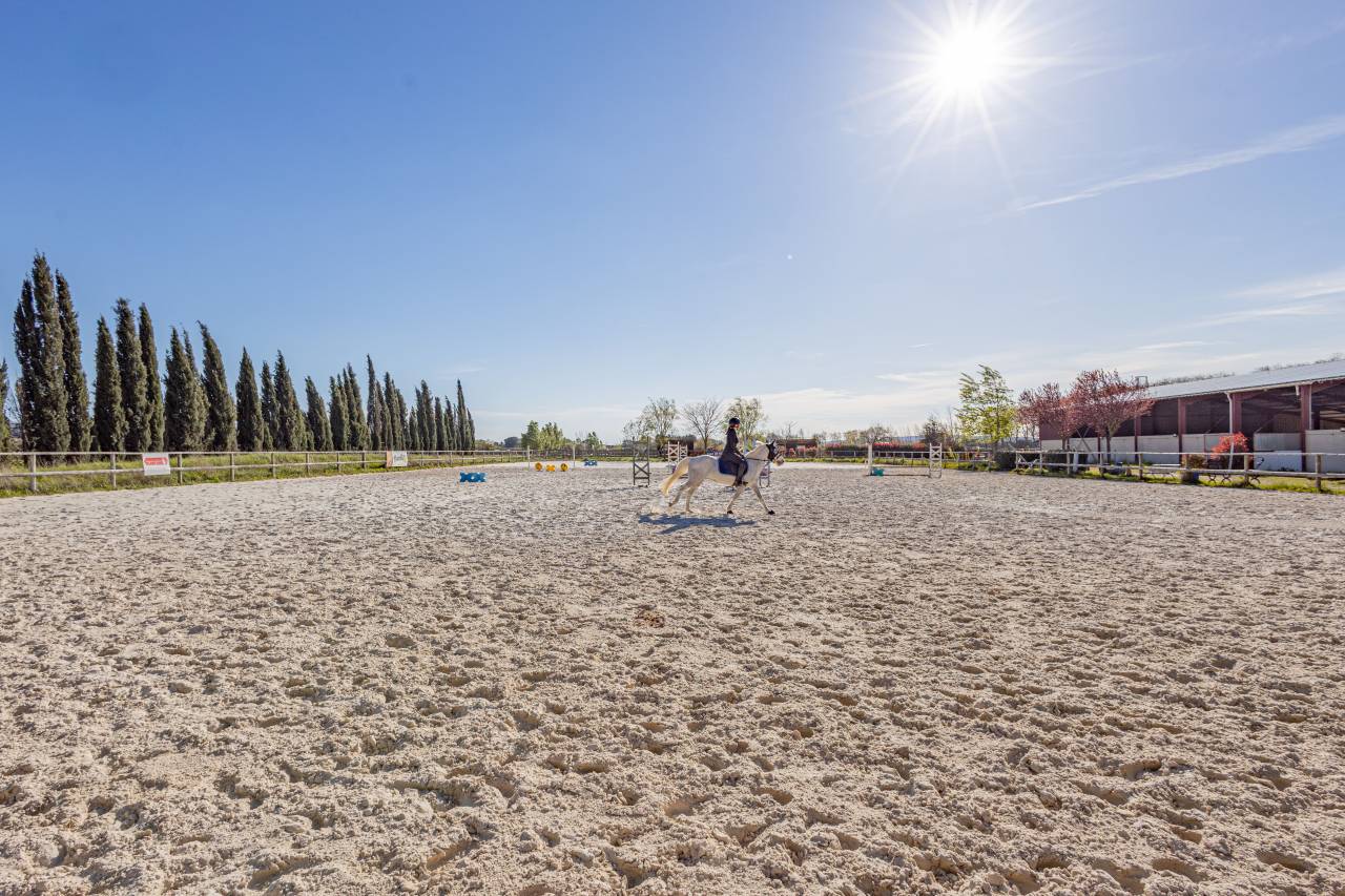 Scuderia per proprietari In vendita H&eacute;rault