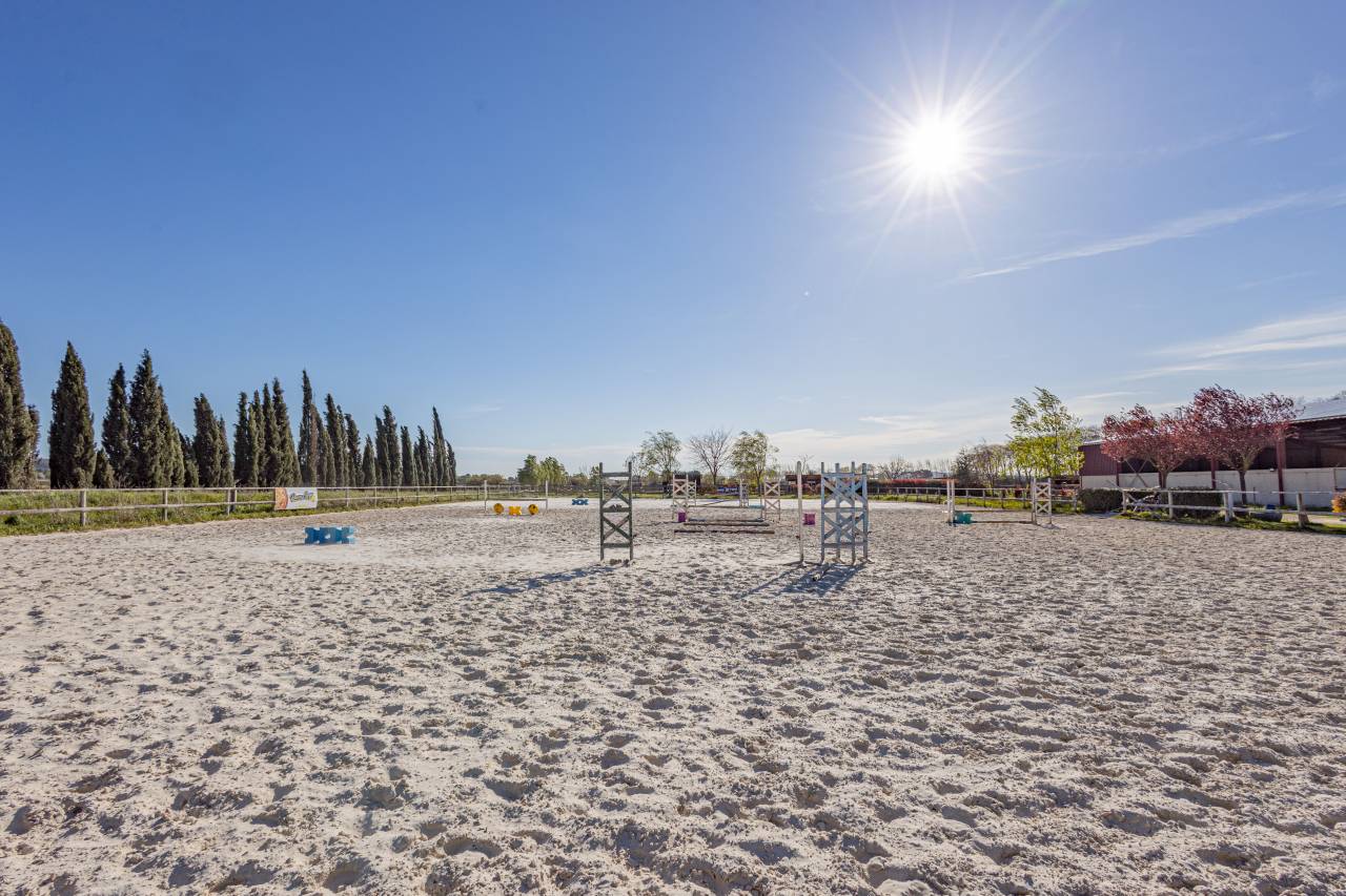Scuderia per proprietari In vendita H&eacute;rault