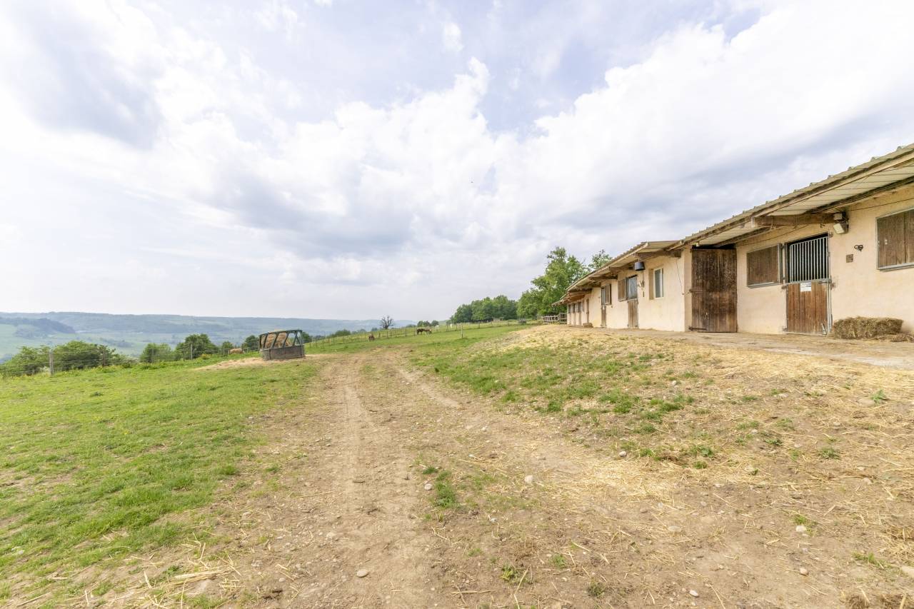 Centro di stagione cavallo In vendita Dr&ocirc;me