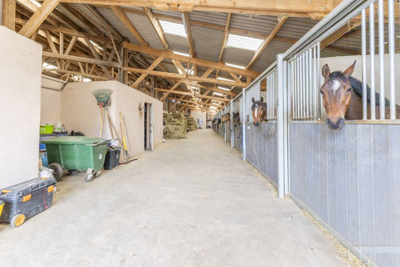 Centro di stagione cavallo In vendita Dr&ocirc;me
