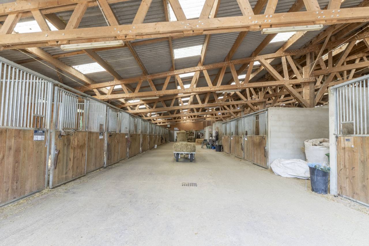 Centro di stagione cavallo In vendita Dr&ocirc;me
