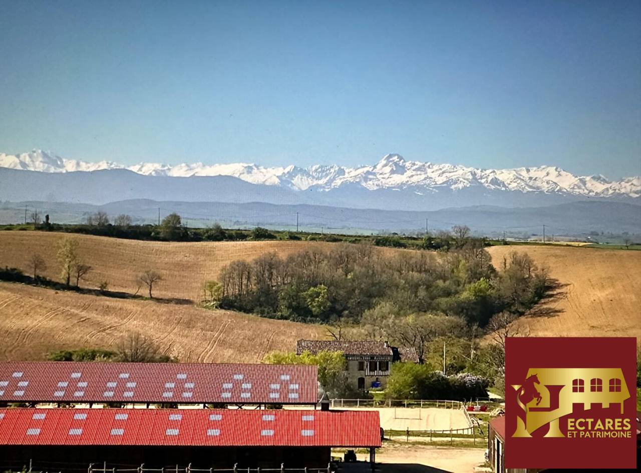 Centro di stagione cavallo In vendita Haute-Garonne
