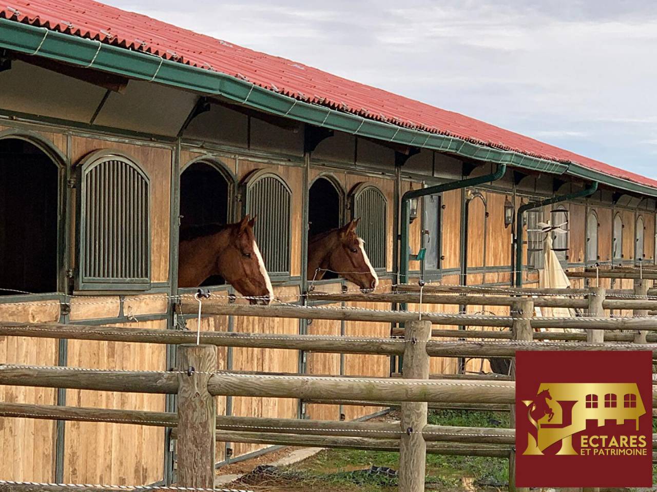 Centro di stagione cavallo In vendita Haute-Garonne