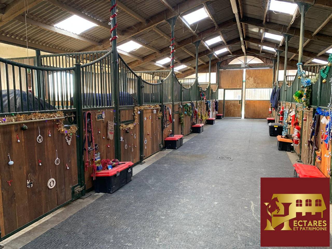 Centro di stagione cavallo In vendita Haute-Garonne