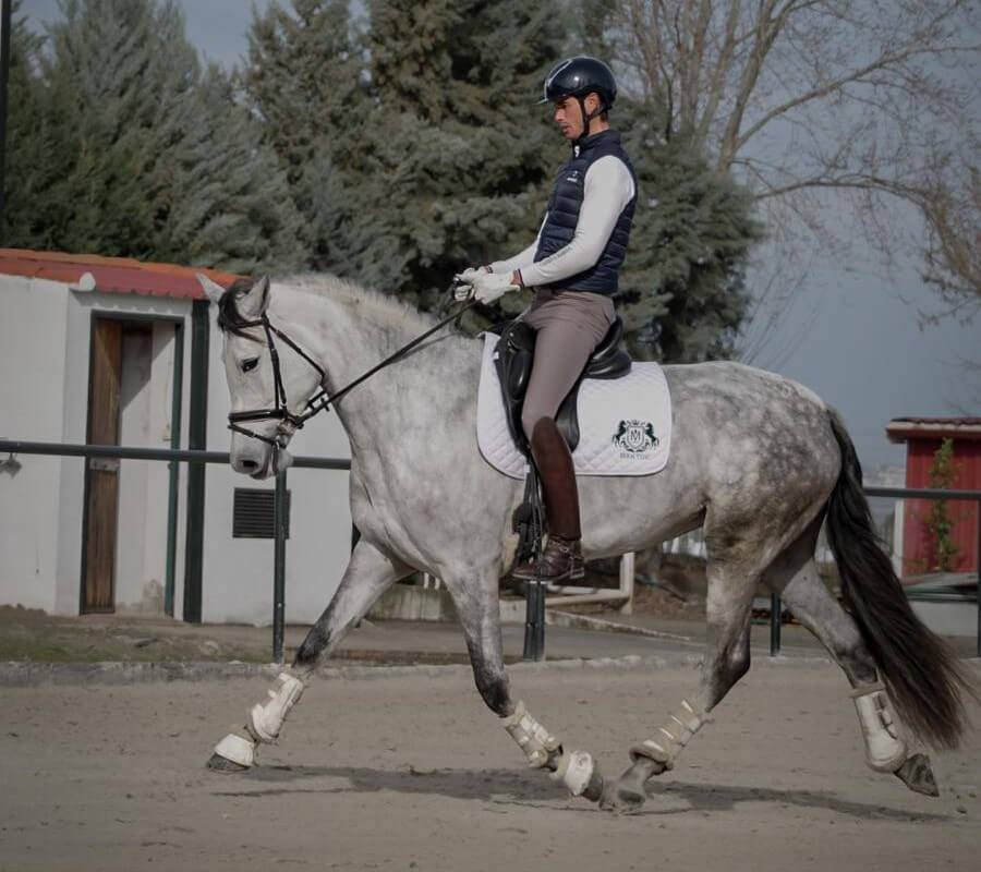 Cavalla CDE Caballo Deporte Espanol In vendita 2021 Grigio