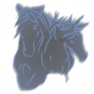 delphMerens04
